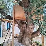 Sole In Ogliastra 3* Jerzu