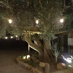 Sole In Ogliastra Bed & Breakfast Jerzu