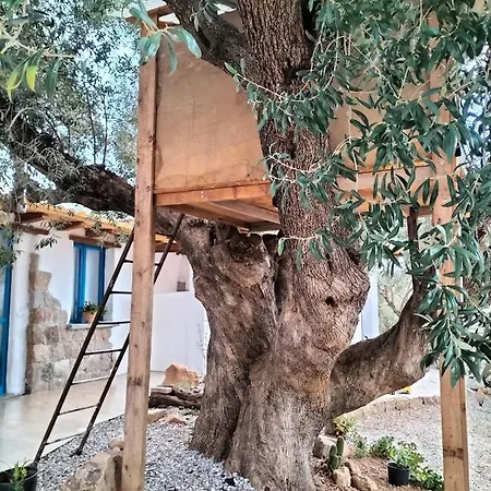 Sole In Ogliastra * Jerzu