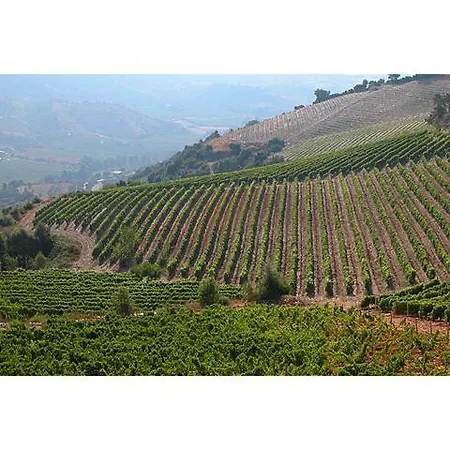 Sole In Ogliastra Jerzu