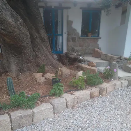 Sole In Ogliastra *