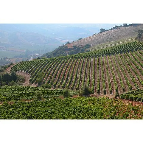 Sole In Ogliastra Jerzu