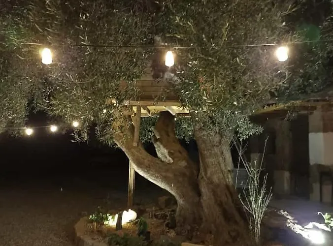 Sole In Ogliastra 住宿加早餐酒店 Jerzu